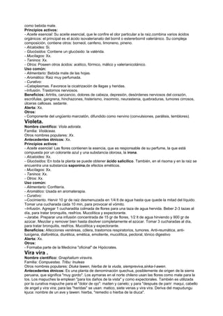 como bebida mate.
Principios activos:
- Aceite esencial: Su aceite esencial, que le confire el olor particular a la raiz,combina varios ácidos
orgánicos: el principal es el ácido isovalerianato del bornil o estererbornil valeriánico. Su compleja
composición, contiene otros: borneol, canfeno, limoneno, pineno.
- Alcaloides: Si.
- Glucósidos: Contiene un glucósido: la valérida.
- Mucílagos: Xx.
- Taninos: Xx.
- Otros: Poseen otros ácidos: acético, fórmico, málico y valerianicotánico.
Uso común:
- Alimentario: Bebida mate de las hojas.
- Aromático: Raiz muy perfumada.
- Curativo:
--Cataplasmas. Favorece la cicatrización de llagas y heridas.
--Infusión. Trastornos nerviosos.
Beneficios: Artritis, canzancio, dolores de cabeza, depresión, desórdenes nerviosos del corazón,
escrófulas, gangrena, hinchazones, histerismo, insomnio, neurastenia, quebraduras, tumores cirrosos,
úlceras callosas. sedante.
Alerta: Xx.
Otros:
- Componente del ungüento marciatón, difundido como nervino (convulsiones, parálisis, temblores).
Violeta.
Nombre científico: Viola adorata.
Familia: Violáceas.
Otros nombres populares: Xx.
Antecedentes étnicos: Xx.
Principios activos:
- Aceite esencial: Las flores contienen la esencia, que es responsable de su perfume, la que está
compuesta por un colorante azul y una substancia olorosa, la irona.
- Alcaloides: Xx.
- Glucósidos: En toda la planta se puede obtener ácido salicílico. También, en el risoma y en la raiz se
encuentra una substancia saponina,de efectos eméticos.
- Mucílagos: Xx.
- Taninos: Xx.
- Otros: Xx.
Uso común:
- Alimentario: Confitería.
- Aromático: Usada en aromaterapia.
- Curativo:
--Cocimiento. Hervir 10 gr de raiz desmenuzada en 1/4 lt de agua hasta que quede la mitad del líquido.
Tomar una cucharada cada 10 min, para provocar el vómito.
--Infusión. Agregar 1 cucharadita colmada de flores para una taza de agua hervida. Beber 2-3 tazas al
día, para tratar bronquitis, resfríos. Mucolítica y expectorante.
--Jarabe. Preparar una infusión concentrada de 15 gr de flores, 1/2 lt de agua hirviendo y 900 gr de
azúcar. Mezclar y remover bien hasta disolver completamente el azúcar. Tomar 3 cucharadas al día,
para tratar bronquitis, resfríos. Mucolítica y expectorante.
Beneficios: Afecciones venéreas, cólera, trastornos respiratorios, tumores. Anti-reumática, anti-
tusígena, diaforética, diurética, emética, emoliente, mucolítica, pectoral, tónico digestivo
Alerta: Xx.
Otros:
- Formaba parte de la Medicina "oficinal" de Hipócrates.
Vira vira .
Nombre científico: Gnaphalium viravira.
Familia: Compuestas. Tribu: Inuleas
Otros nombres populares: Diuka lawen, hierba de la viuda, siempreviva,sinka-I-awen.
Antecedentes étnicos: Es una planta de denominación quechua, posiblemente de origen de la sierra
peruana, que significa "muy gordo". Los aymaras en el norte chileno usan las flores como mate para la
tos. Los mapuches la emplean "para los daños de la vista" y como expectorales. También es utilizada
por la curativa mapuche para el "dolor de ojo": maiten y canelo; y para "después de parir: maqui, cabello
de angel y vira vira; para las "heridas" se usan: matico, siete venas y vira vira. Deriva del mapudungu
kjuca: nombre de un ave y lawen: hierba, "remedio o hierba de la diuca".
 