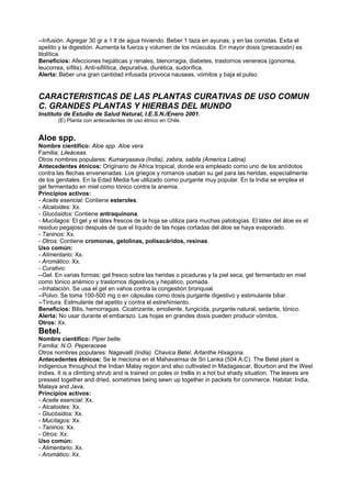--Infusión. Agregar 30 gr a 1 lt de agua hiviendo. Beber 1 taza en ayunas, y en las comidas. Exita el
apetito y la digestión. Aumenta la fuerza y volumen de los músculos. En mayor dosis (precausión) es
litolítica.
Beneficios: Afecciones hepáticas y renales, blenorragia, diabetes, trastornos venereos (gonorrea,
leucorrea, sífilis). Anti-sifilítica, depurativa, diurética, sudorífica.
Alerta: Beber una gran cantidad infusada provoca nauseas, vómitos y baja el pulso.
CARACTERISTICAS DE LAS PLANTAS CURATIVAS DE USO COMUN
C. GRANDES PLANTAS Y HIERBAS DEL MUNDO
Instituto de Estudio de Salud Natural, I.E.S.N./Enero 2001.
(E) Planta con antecedentes de uso étnico en Chile.
Aloe spp.
Nombre científico: Aloe spp. Aloe vera
Familia: Lileáceas.
Otros nombres populares: Kumaryasava (India), zabira, sabila (America Latina).
Antecedentes étnicos: Originario de Africa tropical, donde era empleado como uno de los antídotos
contra las flechas envenenadas. Los griegos y romanos usaban su gel para las heridas, especialmente
de los genitales. En la Edad Media fue utilizado como purgante muy popular. En la India se emplea el
gel fermentado en miel como tónico contra la anemia.
Principios activos:
- Aceite esencial: Contiene esteroles.
- Alcaloides: Xx.
- Glucósidos: Contiene antraquinona.
- Mucílagos: El gel y el látex frescos de la hoja se utiliza para muchas patologías. El látex del áloe es el
residuo pegajoso después de que el líquido de las hojas cortadas del áloe se haya evaporado.
- Taninos: Xx.
- Otros: Contiene cromonas, gelolinas, polisacáridos, resinas.
Uso común:
- Alimentario: Xx.
- Aromático: Xx.
- Curativo:
--Gel. En varias formas: gel fresco sobre las heridas o picaduras y la piel seca, gel fermentado en miel
como tónico anémico y trastornos digestivos y hepático, pomada.
--Inhalación. Se usa el gel en vahos contra la congestión bronquial.
--Polvo. Se toma 100-500 mg o en cápsulas como dosis purgante digestivo y estimulante biliar.
--Tintura. Estmulante del apetito y contra el estreñimiento.
Beneficios: Bilis, hemorragias. Cicatrizante, emoliente, fungicida, purgante natural, sedante, tónico.
Alerta: No usar durante el embarazo. Las hojas en grandes dosis pueden producir vómitos.
Otros: Xx.
Betel.
Nombre científico: Piper betle.
Familia: N.O. Peperaceae
Otros nombres populares: Nagavalli (India). Chavica Betel. Artanthe Hixagona.
Antecedentes étnicos: Se le meciona en el Mahavamsa de Sri Lanka (504 A.C). The Betel plant is
indigenous throughout the Indian Malay region and also cultivated in Madagascar, Bourbon and the West
Indies. It is a climbing shrub and is trained on poles or trellis in a hot but shady situation. The leaves are
pressed together and dried, sometimes being sewn up together in packets for commerce. Habitat: India,
Malaya and Java.
Principios activos:
- Aceite esencial: Xx.
- Alcaloides: Xx.
- Glucósidos: Xx.
- Mucílagos: Xx.
- Taninos: Xx.
- Otros: Xx.
Uso común:
- Alimentario: Xx.
- Aromático: Xx.
 