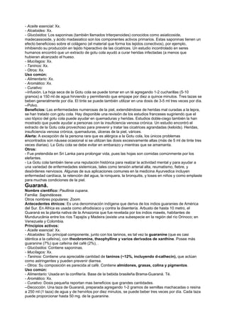 - Aceite esencial: Xx.
- Alcaloides: Xx.
- Glucósidos: Los saponinas (también llamados triterpenoides) conocidos como asiaticoside,
madecassoside, y ácido madasiatico son los componentes activos primarios. Estas saponinas tienen un
efecto beneficioso sobre el colágeno (el material que forma los tejidos conectivos), por ejemplo,
inhibiendo su producción en tejido hiperactivo de las cicatrices. Un estudio incontrolado en seres
humanos encontró que un extracto de gotu cola ayudó a curar heridas infectadas (a menos que
hubieran alcanzado el hueso.
- Mucílagos: Xx.
- Taninos: Xx.
- Otros: Xx.
Uso común:
- Alimentario: Xx.
- Aromático: Xx.
- Curativo:
--Infusión. La hoja seca de la Gotu cola se puede tomar en un té agregando 1-2 cucharillas (5-10
gramos) a 150 ml de agua hirviendo y permitiendo que empape por diez a quince minutos. Tres tazas se
beben generalmente por día. El tinte se puede también utilizar en una dosis de 3-5 ml tres veces por día.
--Polvo.
Beneficios: Las enfermedades numerosas de la piel, extendiéndose de heridas mal curadas a la lepra,
se han tratado con gotu cola. Hay disponible una revisión de los estudios franceses sugiriendo que el
uso tópico del gotu cola puede ayudar en quemaduras y heridas. Estudios doble-ciego también la han
mostrado que puede ayudar a personas con la insuficiencia venosa crónica. Un estudio encontró el
extracto de la Gotu cola provechoso para prevenir y tratar las cicatrices agrandadas (keloids). Heridas,
insuficiencia venosa crónica, quemaduras, úlceras de la piel, várices.
Alerta: A excepción de la persona rara que es alérgica a la Gotu cola, los únicos problemas
encontrados son náusea ocasional si se utilizan las dosis excesivamente altas (más de 5 ml de tinte tres
veces diarias). La Gotu cola se debe evitar en embarazo y mientras que se amamanta.
Otros:
- Fue pretendida en Sri Lanka para prolongar vida, pues las hojas son comidas comúnmente por los
elefantes.
- La Gotu cola también tiene una reputación histórica para realzar la actividad mental y para ayudar a
una variedad de enfermedades sistemicas, tales como tensión arterial alta, reumatismo, fiebre, y
desórdenes nerviosos. Algunas de sus aplicaciones comunes en la medicina Ayurvedica incluyen
enfermedad cardíaca, la retención del agua, la ronquera, la bronquitis, y toses en niños y como emplaste
para muchas condiciones de la piel.
Guaraná.
Nombre científico: Paullinia cupana.
Familia: Sapindáceas.
Otros nombres populares: Zoom.
Antecedentes étnicos: Es una denominación indígena que deriva de los indios guaranies de América
del Sur. En Africa es usada como afrodisíaco y contra la disentería. Arbusto de hasta 10 metro, el
Guaraná es la planta nativa de la Amazonia que fue revelada por los indios mawés, habitantes de
Mundurucânia entre los ríos Tapajós y Madeira (existe una subespecie en la región del río Orinoco; en
Venezuela y Colombia.
Principios activos:
- Aceite esencial: Xx.
- Alcaloides: Su principal componente, junto con los taninos, es tal vez la guaranine (que es casi
idéntica a la cafeína), con theobromine, theophylline y varios derivados de xanthine. Posee más
guaranine (7%) que cafeína del café (2%), .
- Glucósidos: Contiene saponinas.
- Mucílagos: Xx.
- Taninos: Contiene una apreciable cantidad de taninos (~12%, incluyendo d-cathecin), que actúan
como astringentes y pueden prevenir diarrea.
- Otros: Su composición es parecida al café. Contiene almidones, grasas, colina y pigmentos.
Uso común:
- Alimentario: Usada en la confitería. Base de la bebida brasileña Brama-Guaraná. Té.
- Aromático: Xx.
- Curativo: Dosis pequeña reportan mas beneficios que grandes cantidades.
--Decocción. Una taza de Guaraná, preparada agregando 1-2 gramos de semillas machacadas o resina
a 250 ml (1 taza) de agua y de hervirlos por diez minutos, se puede beber tres veces por día. Cada taza
puede proporcionar hasta 50 mg. de la guaranine.
 