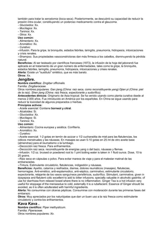 también para tratar la xerostomia (boca seca). Posteriormente, se descubrió su capacidad de reducir la
presión intra ocular, constituyendo un poderoso medicamento contra el glaucoma.
- Glucósidos: Xx.
- Mucílagos: Xx.
- Taninos: Xx.
- Otros: Xx.
Uso común:
- Alimentario: Xx.
- Aromático: Xx.
- Curativo:
--Infusión. Para la gripe, la bronquitis, estados febriles, laringitis, pneumonía, hidropesía, intoxicaciones
y crisis renales.
--Shampoo. Sus propiedades vasoconstrictoras dan más firmeza a los cabellos, disminuyendo la pérdida
natural.
Beneficios: Al ser testeado por científicos franceses (1873), la infusión de la hoja del jaborandi fue
aplicada en el tratamiento de un gran número de enfermedades, tales como la gripe, la bronquitis,
estados febriles, laringitis, pneumonía, hidropesía, intoxicaciones y crises renales.
Alerta: Existe un "sustituto" sintético, que es más barato.
Otros: Xx.
Jengibre.
Nombre científico: Zingiber officinalis.
Familia: Zingiberaceae.
Otros nombres populares: Gan jiang (China: raiz seca, como reconstituyente yang).Ojian pi (China: piel
de la raiz). Shen jiang (China: raiz fresca, expectorante y sudorífico).
Antecedentes étnicos: Originario de Asia tropical. Se ha venido usando como planta curativa dsede al
menos 2.000 años. Fue introducido en América por los españoles. En China se sigue usando para
reducir la toxicidad de algunos preparados o hierbas.
Principios activos:
- Aceite esencial: Contiene borneol y citral.
- Alcaloides: Si.
- Glucósidos: Xx.
- Mucílagos: Si.
- Taninos: Xx.
Uso común:
- Alimentario: Cocina europea y asiática. Confitería.
- Aromático: Xx.
- Curativo:
--Aceite esencial. 1-2 gotas en terrón de azúcar o 1/2 cucharadita de miel para las flatulencias, los
cólicos menstruales y las náuseas. En masajes se usan 5-10 gotas en 25 ml de otro aceite base
(almendras) para el reumatismo o la lumbago.
--Decocción raiz fresca. Para enfriamientos.
--Decocción raiz seca. reconstituyente de energías yang o del bazo, náuseas y flemas.
--Infusión: 1/2 oz. bruised or powdered root to 1 pint boiling water is taken in 1 fluid ounce. Dose, 10 to
20 grains.
--Raiz seca en cápsulas o polvo. Para evitar mareos de viaje y para el malestar matinal de las
embarazadas.
--Tintura. Estimulante circulatorio, flatulencias, indigestión y náuseas.
Beneficios: Apetito, catarros y resfriados, diarrea, dolores reumáticos (masajes), flatulecias,
hemorragias. Anti-emético, anti-espásmodico, anti-séptico, carminativo, estimulante circulatorio,
expectorante, relajante de los vasos sanguíneos perisféricos, sudorífico. Stimulant, carminative, given in
dyspepsia and flatulent colic excellent to add to bitter infusions; specially valuable in alcoholic gastritis; of
use for diarrhoea from relaxed bowel where there is no inflammation. Ginger Tea is a hot infusion very
useful for stoppage of the mensesdue to cold, externally it is a rubefacient. Essence of Ginger should be
avoided, as it is often adulterated with harmful ingredients.
Alerta: No consumirse con úlceras pépticas. Consumirse con moderación durante las primeras fases del
embarazo.
Otros: Muy apreciados por los naturópatas que dan un buen uso a la raiz fresca como estimulante
circulatorio y contra los enfriamientos.
Kava Kava .
Nombre científico: Piper methysticum.
Familia: Piperaceae.
Otros nombres populares: Xx.
 