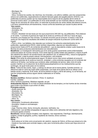 - Mucílagos: Xx.
- Taninos: Xx.
- Otros: Contiene los aceites, las vitaminas, los minerales, y la cafeína volátiles, pero los componentes
activos son polifenoles, especialmente el catechin llamado galato del epigallocatechin (EGCG). Los
polifenoles se piensa puedan ser los responsables de la mayoría de los papeles del té verde en
promover buena salud. Los polifenoles en el té verde también se han mostrado útiles en aminorar el
riesgo de los cánceres de varios sitios, en estimular la producción de varias células del sistema inmune,
y de tener características anti-bacterianas, incluso contra las bacterias que causan la placa dental.
Uso común:
- Alimentario: Xx.
- Aromático: Xx.
- Curativo:
--Infusión. Alrededor de tres tazas por día (que proporciona 240-320 mg. de polifenoles). Para elaborar
un té verde, 1 cucharita (5 gramos) de hojas de té verde se combina con 250 ml (1 taza) de agua
hirviendo y se empapa por tres minutos. Un estudio encontró que el consumir 10 tazas o más de té
verde por día mejora los resultados del análisis de sangre indicando la protección contra daño del
hígado.
--Polvo y otros. Las tabletas y las cápsulas que contienen los extractos estandardizados de los
polifenoles, especialmente EGCG, están tambien disponibles; algunas son descafeinadas y
proporcionan hasta el 97% de contenido del polifenol -- que es equivalente a beber cuatro tazas de té.
Muchos de estos productos estandardizados son descafeinados.
Beneficios: La investigación demuestra que el té verde guarda suavemente contra enfermedades
cardiovasculares de muchas maneras. El té verde baja los niveles totales del colesterol y mejora el perfil
del colesterol (la relación de transformación del colesterol LDL al colesterol HDL), reduce la agregación
de la plaqueta, y baja la presión arterial. Anti-bacteriano, anti-oxidante.
Alerta: El té verde es extremadamente seguro. El efecto nocivo más común señalado al consumir
cantidades grandes de té verde es insomnio, ansiedad, y otros síntomas causados por el contenido del
cafeína en la hierba. Las hierbas que contienen altas cantidades de taninos, tales como té verde,
pueden interferir con la absorción de la efedrina/pseudoephedrine en los medicamentos que las
contengan, de igual modo pasa con la codeína.
Otros: Todos los tés (verde, negro, y oolong) se derivan de la misma planta, Camelia sinensis. La
diferencia está en cómo las hojas están preparadas. Las hojas de la planta del té se utilizan como
bebida social y medicinal. El té verde, de forma distinta al negro y del té del oolong, no se fermenta, así
que los componentes activos siguen siendo inalterados en la hierba.
Tulasi.
Nombre científico: Ocimum sanctum. Prima: O. basilicum.
Familia: Labiatae.
Otros nombres populares: Albahaca sagrada, sin par.
Antecedentes étnicos: En la India se planta alrededor de los templos y en los huertos de las viviendas
para invitar a los Dioses a que entren en ellos.
Principios activos:
- Aceite esencial: Xx.
- Alcaloides: Xx.
- Glucósidos: Xx.
- Mucílagos: Xx.
- Taninos: Xx.
- Otros: Xx.
Uso común:
- Alimentario: Condimento alimentario.
- Aromático: Usada en aromaterapia.
- Curativo:
--Jugo. Para los oídos. Asma, bronquitis, pleuresía, resfríados, tos.
--Maceración. Las semillas empapadas en agua son útiles como calmantes del tubo digestivo y los
conductos genito-urinarios.
Beneficios: Cáncer (etapas iniciales), tubo digestivo, vias respiratorias. Febrífugo, desintpxicante,
oxigena, proteje la garganta, purifica, repelente de insectos, tónico cardíaco.
Alerta: Xx.
Otros:
- Se le adora en la India como encarnación de Lakshmi, esposa de Vishnú, el Dios que preserva la vida.
- Usada en Ayurveda para controlar kappa y vata, pero incrementa pitta a menos que haya ama en el
cuerpo.
Uña de Gato.
 