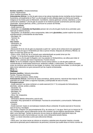 Nombre científico: Uncaria tomentosa.
Familia: Papilonáceas.
Otros nombres populares: Xx.
Antecedentes étnicos: La uña de gato crece en las selvas tropicales de las montañas de los Andes en
Suramérica, principalmente en Perú. La uña de gato ha sido utilizada según se informa por la gente
indígena en los Andes para la inflamación, reumatismo, úlceras gástricas, tumores, disentería, y como
control de la natalidad.1 uña de gato es popular en la medicina popular suramericana para las quejas
intestinales, úlceras gástricas, artritis, y promover la curación de heridas.
Principios activos:
- Aceite esencial: Xx.
- Alcaloides: Los alcaloides de Oxyindole parecen dar a la uña de gato mucha de su actividad, para
estimular el sistema inmune.
- Glucósidos: Los alcaloides y otros componentes, tales como glucósidos, pueden explicar las acciones
antiinflamatorias y antioxidantes de esta hierba.
- Mucílagos: Xx.
- Taninos: Xx.
- Otros: Xx.
Uso común:
- Alimentario: Xx.
- Aromático: Xx.
- Curativo:
--Decocción.El té de uña de gato es preparado a partir de 1 gramo de la corteza de la raíz agregando
250 ml (1 taza) de agua e hirviéndolos por diez a quince minutos. Después de enfriarse y filtrarse, se
bebe una taza tres veces por día.
--Polvo y otros. 20-60 mg. de un extracto seco estandardizado se puede tomar por día.
--Tintura. 1-2 ml de tinte se pueden tomar dos veces por día.
Beneficios: La uña de gato ha llegado a ser muy popular en Norteamérica y se utiliza para tratar el
cáncer y VIH. Lesiones (de menor importancia). Función inmune
Alerta: No se ha señalado ningunos efectos nocivos serios todavía. La uña de gato puede ser
contraindicada en enfermedad autoinmune, esclerosis múltiple, y tuberculosis. Los médicos europeos
evitan de combinar esta hierba con las drogas, la insulina, o las vacunas hormonales. La uña de gato, se
debe tomar solamente con gran precaución por las mujeres embarazadas.
Otros: Xx.
Vetiver.
Nombre científico: Vetiveria zizanoides.
Familia: Poaceae (Graminae)
Otros nombres populares: Ushira (India).
Antecedentes étnicos: Graminea de raices aromaticas, planta perenne, natural de Asia tropical. Se ha
extendido por via del cultivo a regiones tropicales y subtropicales de todo el mundo. .
Principios activos:
- Aceite esencial: Las raices contienen un aceite esencial (0,4-11 %) compuesto de hidrocarburos,
alcoholes, cetonas, acidos y esteres.
- Alcaloides: Xx.
- Glucósidos: Xx.
- Mucílagos: Xx.
- Taninos: Xx.
- Otros: Cat. terapeutica.
Uso común:
- Alimentario: Bebida refrescante y para la sed.
- Aromático: Muy apreciada en aromaterapia. Favorece la concentración y comunicación. Refrescante
ambiental.
- Curativo:
--Aceite esencial. Usado en aromaterapia mediante difusor ambiental. El aceite esencial en fricciones
para el reuma y neuralgias.
--Decocción. Preparar con aproximadamente 25 g. de raices por 1l. de agua. Hervir por no menos de 10
min. Enfriada fuerte, para la inflamación de las vías urinarias o de los órganos reproductores. Efriada
débil, como febrífuga. Tambén la decoccion de sus raices es utilizda para tratamiento topico de
erupciones de la piel y hemorroides por via oral, como refrescante durante fiebres.
--Polvo. La raices reducidas a polvo para afecciones biliosas.
--Vino.
--Otros usos. Las raices secas se colocan en armarios y estantes para ahuyentar insectos, el aceite
esencial es apreciado para la elaboracion de perfumes y lociones que suelen llevar el mismo nombre de
 