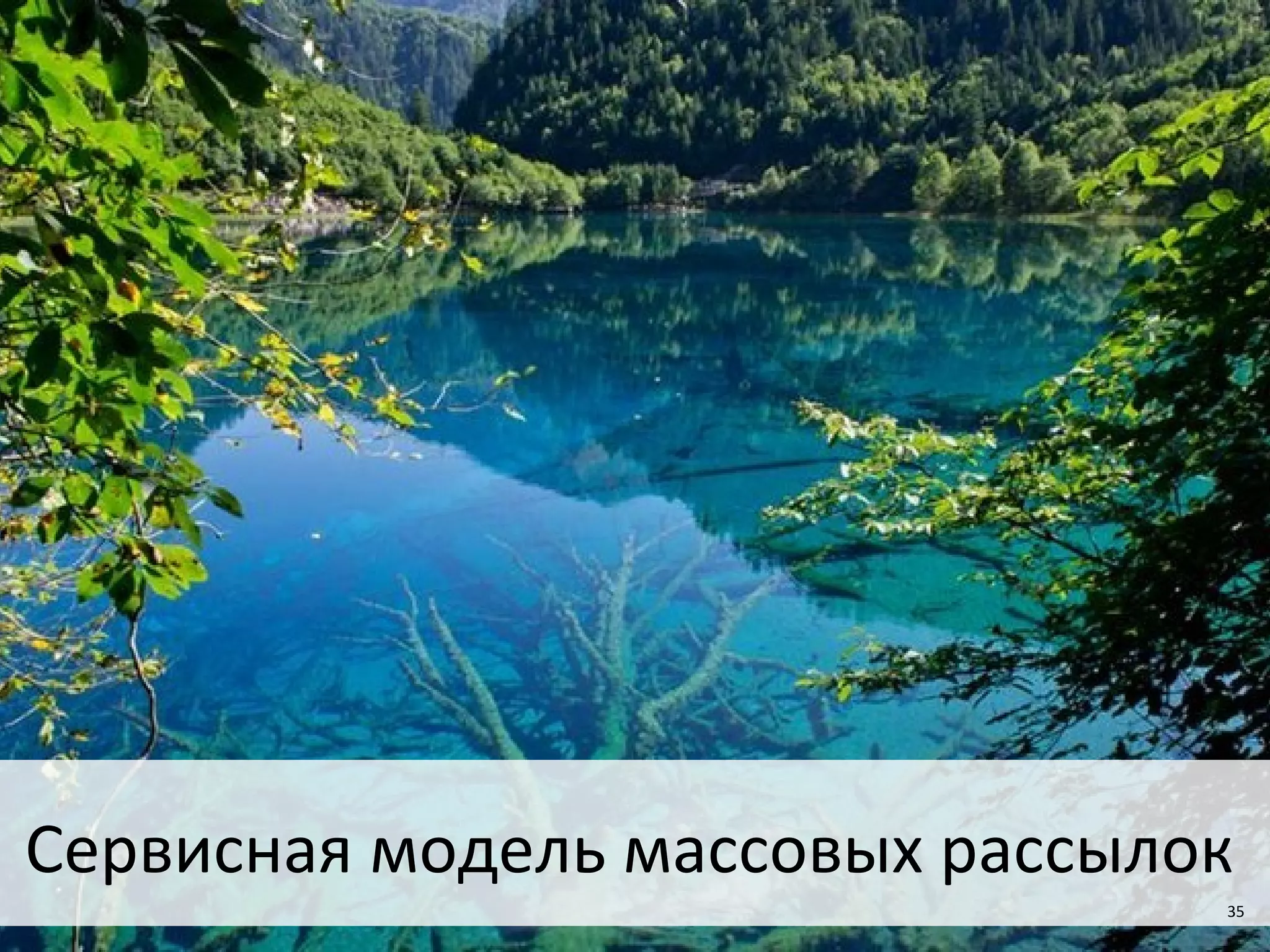 35
Сервисная модель массовых рассылок
35
 