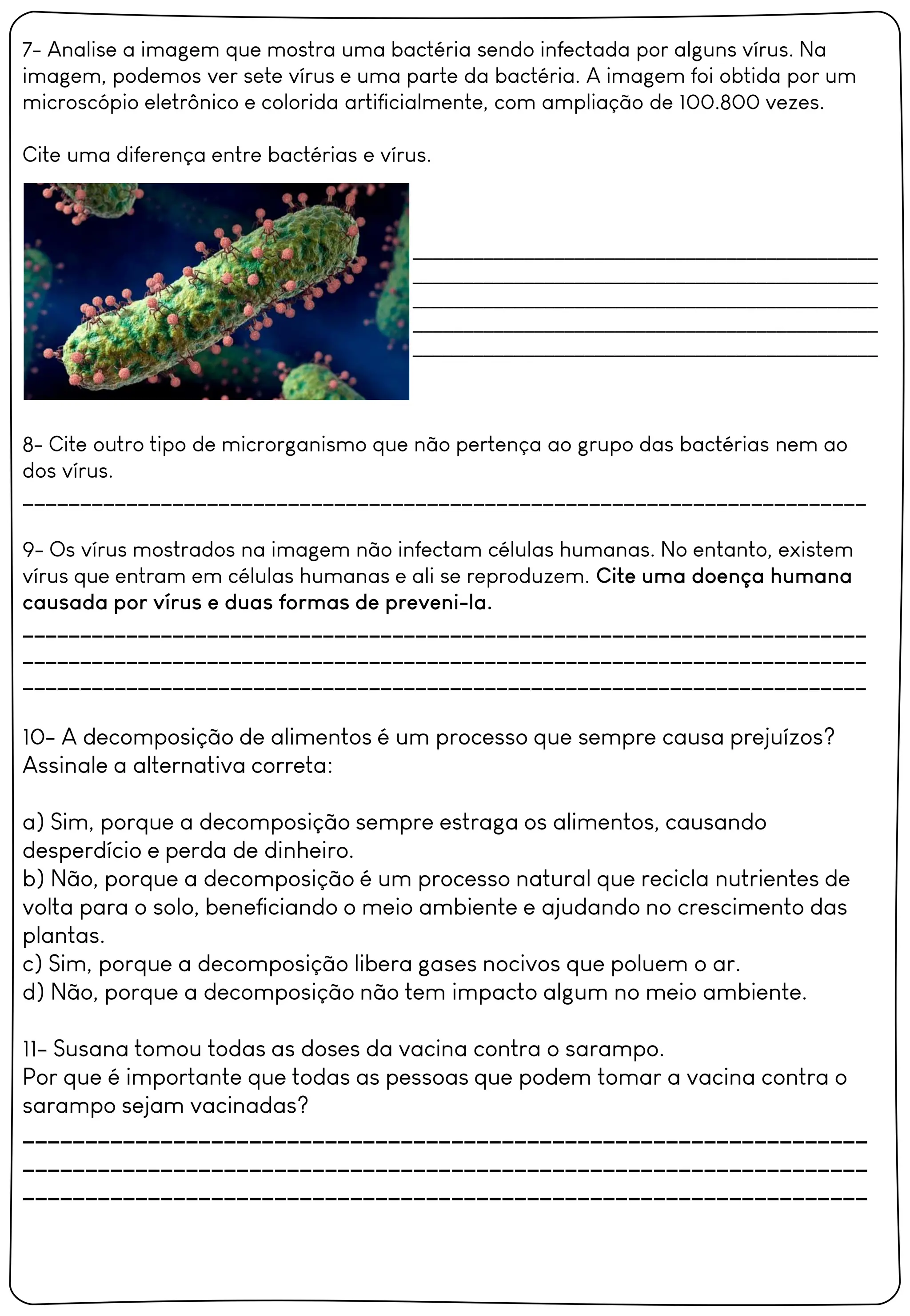 atividades escolares sobre virus para o 4 ano | PDF
