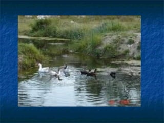 4 ΟΚΤΩΒΡΙΟΥ ΓΙΟΡΤΗ