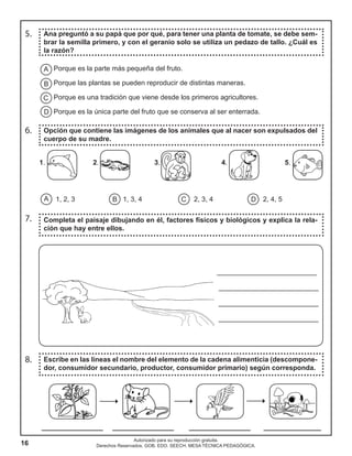 16
Autorizado para su reproducción gratuita.
Derechos Reservados. GOB. EDO. SEECH. MESA TÉCNICA PEDAGÓGICA.
5. Ana preguntó a su papá que por qué, para tener una planta de tomate, se debe sem-
brar la semilla primero, y con el geranio solo se utiliza un pedazo de tallo. ¿Cuál es
la razón?
Porque es la parte más pequeña del fruto.
Porque las plantas se pueden reproducir de distintas maneras.
Porque es una tradición que viene desde los primeros agricultores.
Porque es la única parte del fruto que se conserva al ser enterrada.
1. 2. 3. 4. 5.
6. Opción que contiene las imágenes de los animales que al nacer son expulsados del
cuerpo de su madre.
1, 2, 3 1, 3, 4 2, 3, 4 2, 4, 5A B C D
7. Completa el paisaje dibujando en él, factores físicos y biológicos y explica la rela-
ción que hay entre ellos.
__________________________
__________________________
__________________________
__________________________
8. Escribe en las líneas el nombre del elemento de la cadena alimenticia (descompone-
dor, consumidor secundario, productor, consumidor primario) según corresponda.
________________ ________________ ________________ _______________
A
B
C
D
 