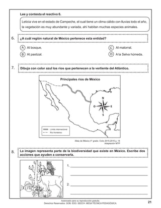 21
Autorizado para su reproducción gratuita.
Derechos Reservados. GOB. EDO. SEECH. MESA TÉCNICA PEDAGÓGICA.
6. ¿A cuál región natural de México pertenece esta entidad?
8. La imagen representa parte de la biodiversidad que existe en México. Escribe dos
acciones que ayuden a conservarla.
7. Dibuja con color azul los ríos que pertenecen a la vertiente del Atlántico.
Lee y contesta el reactivo 6.
Leticia vive en el estado de Campeche, el cual tiene un clima cálido con lluvias todo el año,
la vegetación es muy abundante y variada, ahí habitan muchas especies animales.
C
D
A
B
Al bosque. Al matorral.
Al pastizal. A la Selva húmeda.
1. ____________________________________________
____________________________________________
2. ____________________________________________
____________________________________________
Principales ríos de México
Atlas de México 4° grado. Ciclo 2015-2016 p. 14
Adaptación MTP
 