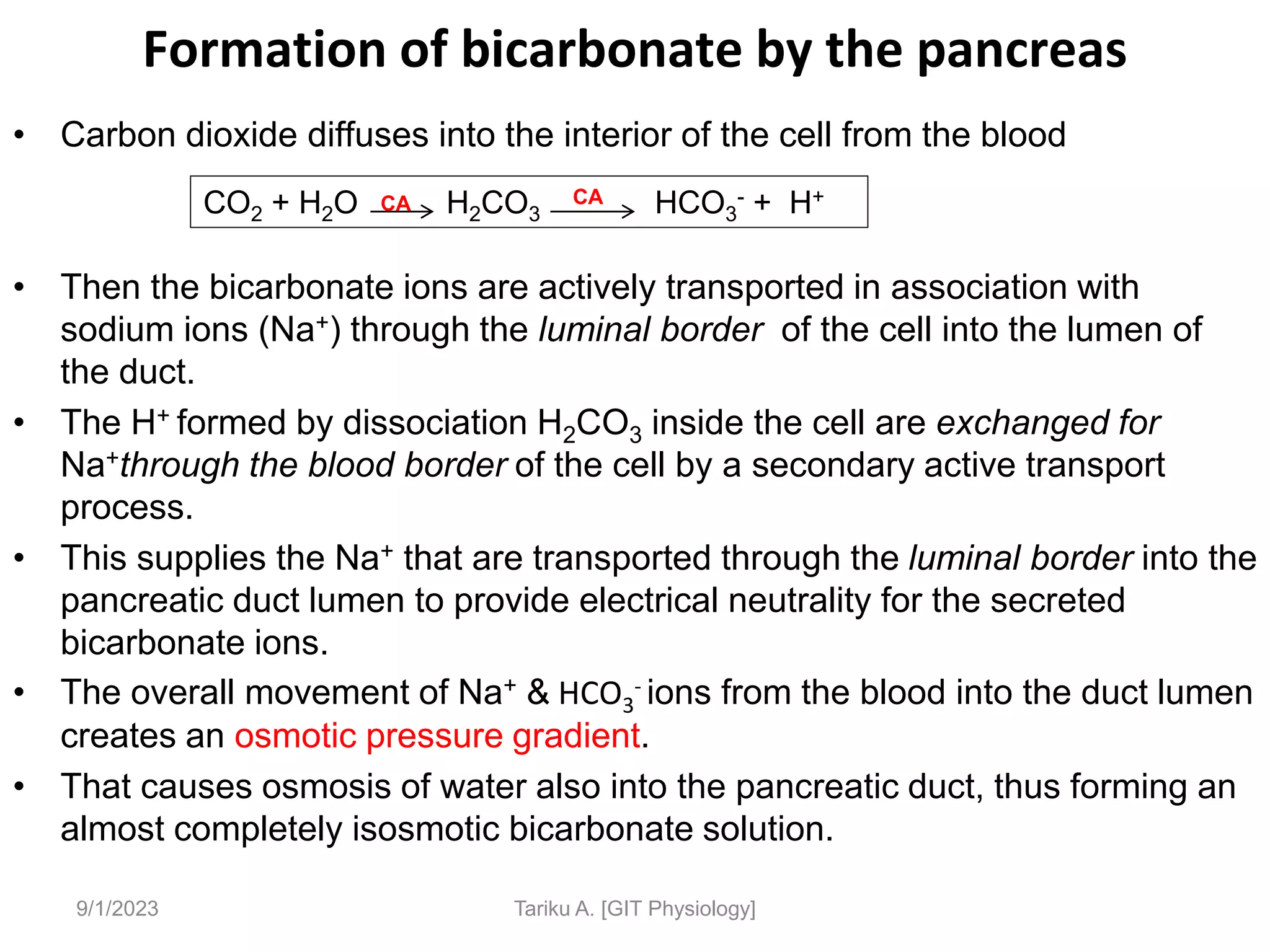 Formation of bicarbonate by the pancreas
• Carbon dioxide diffuses into the interior of the cell from the blood
• Then the bicarbonate ions are actively transported in association with
sodium ions (Na+) through the luminal border of the cell into the lumen of
the duct.
• The H+ formed by dissociation H2CO3 inside the cell are exchanged for
Na+through the blood border of the cell by a secondary active transport
process.
• This supplies the Na+ that are transported through the luminal border into the
pancreatic duct lumen to provide electrical neutrality for the secreted
bicarbonate ions.
• The overall movement of Na+ & HCO3
- ions from the blood into the duct lumen
creates an osmotic pressure gradient.
• That causes osmosis of water also into the pancreatic duct, thus forming an
almost completely isosmotic bicarbonate solution.
9/1/2023 Tariku A. [GIT Physiology]
CO2 + H2O H2CO3 HCO3
- + H+
CA
CA
 