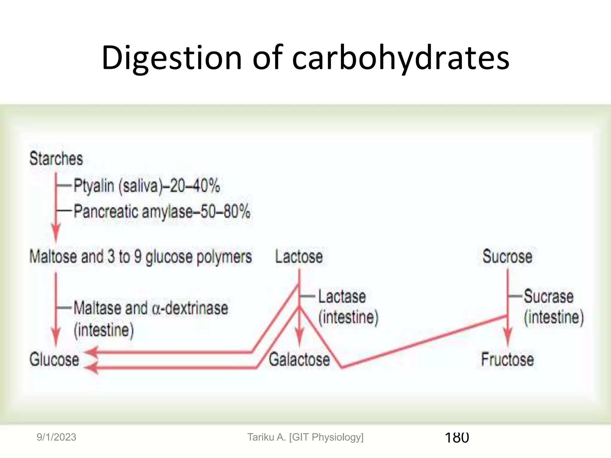 9/1/2023
Digestion of carbohydrates
180
Tariku A. [GIT Physiology]
 