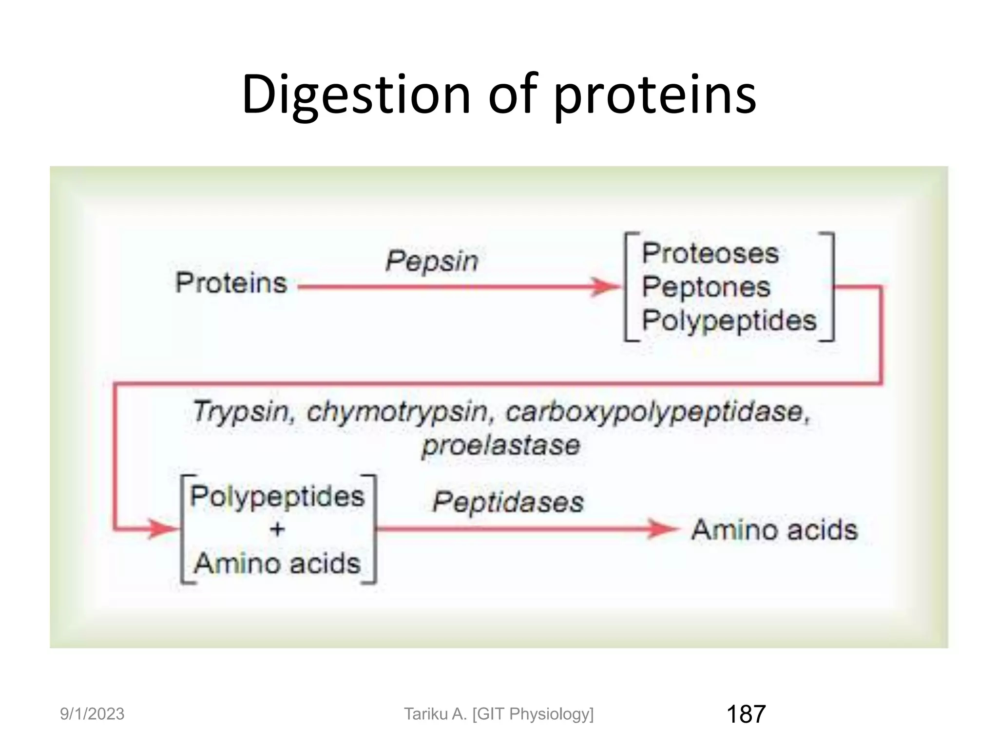 9/1/2023
Digestion of proteins
187
Tariku A. [GIT Physiology]
 