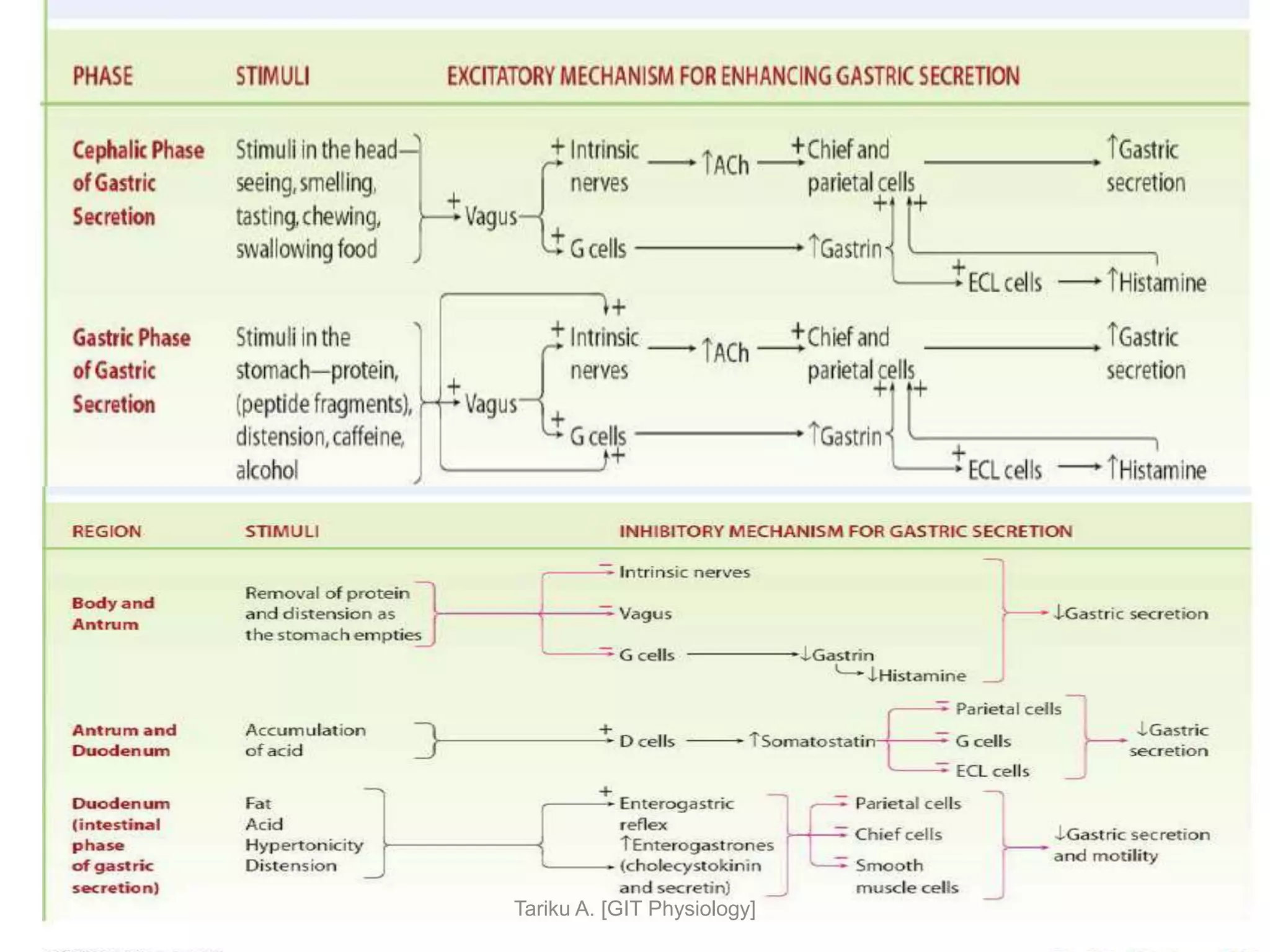 9/1/2023 45
Tariku A. [GIT Physiology]
 