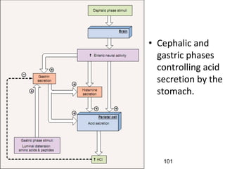9/1/2023
• Cephalic and
gastric phases
controlling acid
secretion by the
stomach.
101
 
