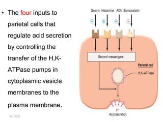 9/1/2023
• The four inputs to
parietal cells that
regulate acid secretion
by controlling the
transfer of the H,K-
ATPase pumps in
cytoplasmic vesicle
membranes to the
plasma membrane.
109
 