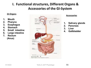9/1/2023
I. Functional structures, Different Organs &
Accessories of the GI-System
11
1. Mouth
2. Pharynx
3. Esophagus
4. Stomach
5. Small intestine
6. Large intestine
7. Rectum
(Anus)
1. Salivary glands
2. Pancreas
3. Liver
4. Gallbladder
GI-Organs
Accessories
Tariku A. [GIT Physiology]
 