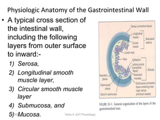 Physiologic Anatomy of the Gastrointestinal Wall
• A typical cross section of
the intestinal wall,
including the following
layers from outer surface
to inward:-
1) Serosa,
2) Longitudinal smooth
muscle layer,
3) Circular smooth muscle
layer
4) Submucosa, and
5) Mucosa.
9/1/2023 Tariku A. [GIT Physiology]
 