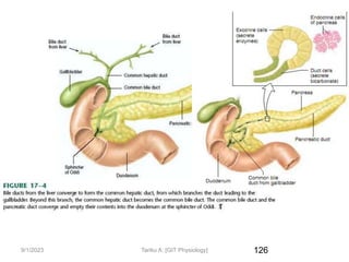 9/1/2023 126
Tariku A. [GIT Physiology]
 