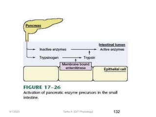 9/1/2023 132
Tariku A. [GIT Physiology]
 