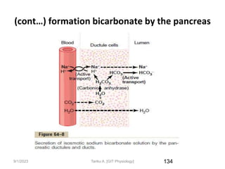 9/1/2023
(cont…) formation bicarbonate by the pancreas
134
Tariku A. [GIT Physiology]
 