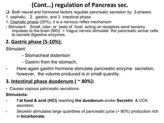 (Cont…) regulation of Pancreas sec.
 Both neural and hormonal factors regulate pancreatic secretion by 3-phases:
1. cephalic, 2. gastric, and 3. intestinal phase
1. Cephalic phase (20%), it is a nervous reflex mechanism
- Stimulant: Smell, odor, or taste of food acting on receptors send sensory
impulses to the brain (MO) > Vagus nerves stimulate the pancreatic acinar cells
to secrete digestive enzymes.
2. Gastric phase (5-10%):
Stimulant:
- Stomacheal distention
- Gastrin from the stomach,
- Here again gastrin hormone stimulate pancreatic enzyme secretion,
however, the volume produced is in small quantity.
3. Intestinal phase duodenum ( ~ 80%):
- Causes copious pancreatic secretions.
Stimulants:
- Fat food & acid (HCl) reaching the duodenum evoke Secretin & CCK
secretion.
- Secretin stimulates large quantities of pancreatic juice (~ 80%) production rich
in bicarbonate.
 