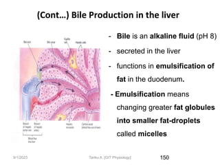 9/1/2023
(Cont…) Bile Production in the liver
- Bile is an alkaline fluid (pH 8)
- secreted in the liver
- functions in emulsification of
fat in the duodenum.
- Emulsification means
changing greater fat globules
into smaller fat-droplets
called micelles
150
Tariku A. [GIT Physiology]
 