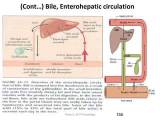 9/1/2023
(Cont…) Bile, Enterohepatic circulation
155
Tariku A. [GIT Physiology]
 