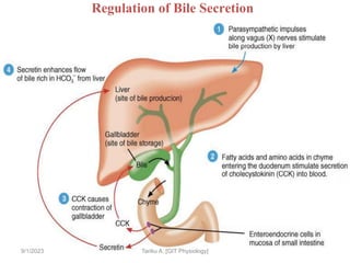 156
Regulation of Bile Secretion
9/1/2023 Tariku A. [GIT Physiology]
 