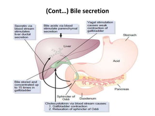 9/1/2023
(Cont…) Bile secretion
157
 
