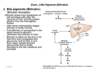 9/1/2023
(Cont…) Bile Pigments (Bilirubin)
2. Bile pigments (Bilirubin):
Bilirubin formation
- Bilirubin arises from breakdown of
old red blood cells after the
removal of Fe2- and the protein
globins from the hemoglobin
moiety.
- After some intermediate stages
bilirubin is finally formed.
- Free Bilirubin is transported in the
blood bound to albumin,
otherwise free bilirubin is toxic.
- Bilirubin is taken by the liver in its
free form and conjugated with
glucuronic acid to form a non-
toxic water soluble bilirubin
glucuronide that is finally
secreted to the bile canaliculi and
excreted
159
 
