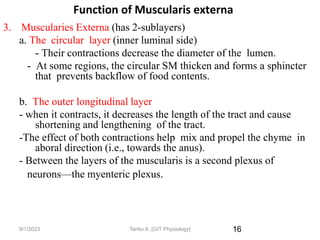 9/1/2023
Function of Muscularis externa
3. Muscularies Externa (has 2-sublayers)
a. The circular layer (inner luminal side)
- Their contractions decrease the diameter of the lumen.
- At some regions, the circular SM thicken and forms a sphincter
that prevents backflow of food contents.
b. The outer longitudinal layer
- when it contracts, it decreases the length of the tract and cause
shortening and lengthening of the tract.
-The effect of both contractions help mix and propel the chyme in
aboral direction (i.e., towards the anus).
- Between the layers of the muscularis is a second plexus of
neurons—the myenteric plexus.
16
Tariku A. [GIT Physiology]
 