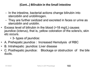 9/1/2023
(Cont…) Bilirubin in the Small intestine
- In the intestine, bacterial actions change bilirubin into
stercobilin and urobilinogen.
- They are further oxidized and excreted in feces or urine as
stercobilin and urobilin.
• Excess level of bilirubin in the blood (>18 mg/L) causes
jaundice (icterus), that is, yellow coloration of the sclera's, skin
etc occurs.
• 3- types of jaundice:
• A. Prehepatic jaundice : Increased Hemolysis of RBC
• B. Intrahepatic jaundice: Liver disease
• C. Posthepatic jaundice: Blockage or obstruction of the bile
ducts.
160
Tariku A. [GIT Physiology]
 