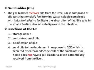 Gall Bladder (GB)
• The gall bladder receives bile from the liver. Bile is composed of
bile salts that emulsify fats forming water-soluble complexes
with lipids (micelles)to facilitate the absorption of fat. Bile salts in
the small intestine also activate lipases in the intestine.
Functions of the GB
1. storage of bile
2. concentration of bile
3. acidification of bile
4. send bile to the duodenum in response to CCK which is
secreted by enteroendocrine cells of the small intestine;
horse does not have a gall bladder & bile is continuously
received from the liver.
9/1/2023 Tariku A. [GIT Physiology]
 