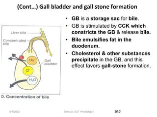 9/1/2023
(Cont…) Gall bladder and gall stone formation
• GB is a storage sac for bile.
• GB is stimulated by CCK which
constricts the GB & release bile.
• Bile emulsifies fat in the
duodenum.
• Cholesterol & other substances
precipitate in the GB, and this
effect favors gall-stone formation.
162
Tariku A. [GIT Physiology]
 