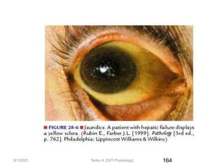 9/1/2023 164
Tariku A. [GIT Physiology]
 