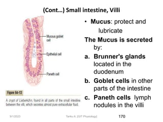 9/1/2023
(Cont…) Small intestine, Villi
• Mucus: protect and
lubricate
The Mucus is secreted
by:
a. Brunner's glands
located in the
duodenum
b. Goblet cells in other
parts of the intestine
c. Paneth cells lymph
nodules in the villi
170
Tariku A. [GIT Physiology]
 