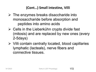 9/1/2023
(Cont…) Small intestine, Villi
 The enzymes breaks disaccharide into
monosaccharide before absorption and
peptides into amino acids
 Cells in the Lieberkühn crypts divide fast
(mitosis) and are replaced by new ones (every
2-5days)
 Villi contain centrally located, blood capillaries
lymphatic (lacteals), nerve fibers and
connective tissues.
172
Tariku A. [GIT Physiology]
 