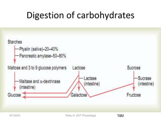 9/1/2023
Digestion of carbohydrates
180
Tariku A. [GIT Physiology]
 