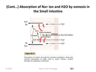 9/1/2023
(Cont…) Absorption of Na+ ion and H2O by osmosis in
the Small intestine
181
Tariku A. [GIT Physiology]
 