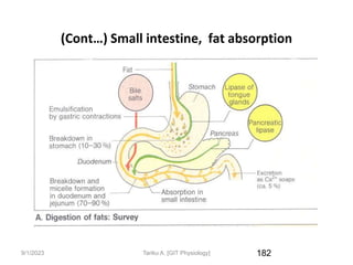 9/1/2023
(Cont…) Small intestine, fat absorption
182
Tariku A. [GIT Physiology]
 