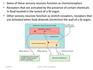 • Some of these sensory neurons function as chemoreceptors
• Receptors that are activated by the presence of certain chemicals
in food located in the lumen of a GI organ.
• Other sensory neurons function as stretch receptors, receptors that
are activated when food distends (stretches) the wall of a GI organ.
9/1/2023 Tariku A. [GIT Physiology]
 