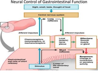 40
Neural Control of Gastrointestinal Function
Figure 23.4
9/1/2023 Tariku A. [GIT Physiology]
 
