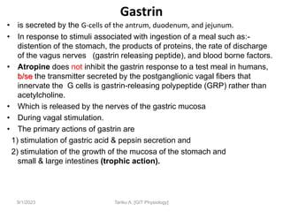 Gastrin
9/1/2023
• is secreted by the G-cells of the antrum, duodenum, and jejunum.
• In response to stimuli associated with ingestion of a meal such as:-
distention of the stomach, the products of proteins, the rate of discharge
of the vagus nerves (gastrin releasing peptide), and blood borne factors.
• Atropine does not inhibit the gastrin response to a test meal in humans,
b/se the transmitter secreted by the postganglionic vagal fibers that
innervate the G cells is gastrin-releasing polypeptide (GRP) rather than
acetylcholine.
• Which is released by the nerves of the gastric mucosa
• During vagal stimulation.
• The primary actions of gastrin are
1) stimulation of gastric acid & pepsin secretion and
2) stimulation of the growth of the mucosa of the stomach and
small & large intestines (trophic action).
Tariku A. [GIT Physiology]
 