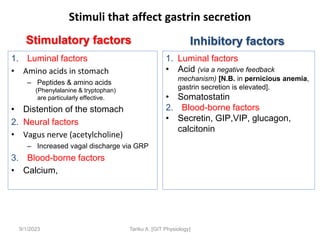 Stimuli that affect gastrin secretion
Stimulatory factors
1. Luminal factors
• Amino acids in stomach
– Peptides & amino acids
(Phenylalanine & tryptophan)
are particularly effective.
• Distention of the stomach
2. Neural factors
• Vagus nerve (acetylcholine)
– Increased vagal discharge via GRP
3. Blood-borne factors
• Calcium,
Inhibitory factors
1. Luminal factors
• Acid (via a negative feedback
mechanism) [N.B. in pernicious anemia,
gastrin secretion is elevated].
• Somatostatin
2. Blood-borne factors
• Secretin, GIP,VIP, glucagon,
calcitonin
9/1/2023 Tariku A. [GIT Physiology]
 