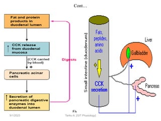 48
Cont…
Fig 15
9/1/2023 Tariku A. [GIT Physiology]
 