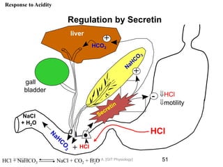 51
Response to Acidity
Regulation by Secretin
HCl + NaHCO3 NaCl + CO2 + H2O
+
+
-
+
gall
bladder
liver
HCl
HCl
motility
NaCl
+ H2O
HCO3
HCl
9/1/2023 Tariku A. [GIT Physiology]
 