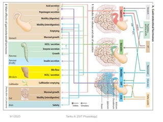 9/1/2023 Tariku A. [GIT Physiology]
 