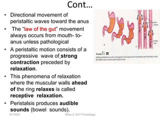 Cont…
• Directional movement of
peristaltic waves toward the anus
• The “law of the gut” movement
always occurs from mouth- to-
anus unless pathological
• A peristaltic motion consists of a
progressive wave of strong
contraction preceded by
relaxation.
• This phenomena of relaxation
where the muscular walls ahead
of the ring relaxes is called
receptive relaxation.
• Peristalsis produces audible
sounds (bowel sounds).
9/1/2023 Tariku A. [GIT Physiology]
 