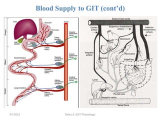 Blood Supply to GIT (cont’d)
9/1/2023 Tariku A. [GIT Physiology]
 
