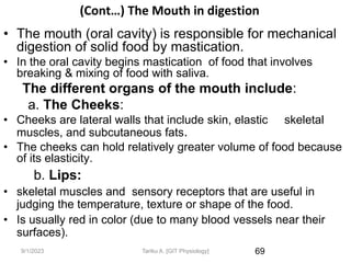 9/1/2023
(Cont…) The Mouth in digestion
• The mouth (oral cavity) is responsible for mechanical
digestion of solid food by mastication.
• In the oral cavity begins mastication of food that involves
breaking & mixing of food with saliva.
The different organs of the mouth include:
a. The Cheeks:
• Cheeks are lateral walls that include skin, elastic skeletal
muscles, and subcutaneous fats.
• The cheeks can hold relatively greater volume of food because
of its elasticity.
b. Lips:
• skeletal muscles and sensory receptors that are useful in
judging the temperature, texture or shape of the food.
• Is usually red in color (due to many blood vessels near their
surfaces).
69
Tariku A. [GIT Physiology]
 