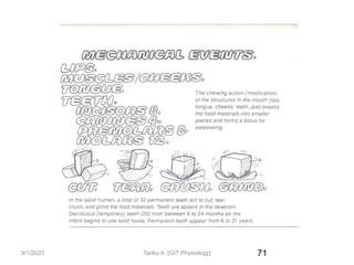 9/1/2023 71
Tariku A. [GIT Physiology]
 