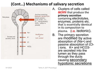 9/1/2023
(Cont…) Mechanisms of salivary secretion
A. Clusters of cells called
acini that produce the
primary secretion
containing electrolytes,
enzymes, proteins etc.
that is essentially identical
in its composition to
plasma. (i.e. isotonic).
B. The primary secretion
are modified by active
absorption of (Na+) and
passive absorption of (Cl-
) ions. K+ and HCO3-
are secreted into the
lumen as they pass
through the ducts
causing secondary
hypotonic secretions
Tariku A. [GIT Physiology]
 